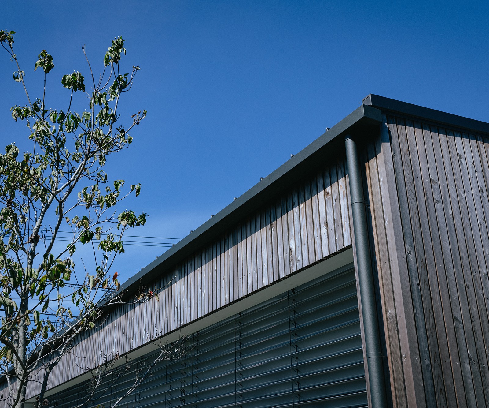 小さな敷地で実現する半分平屋の暮らし 「おうちの建築現場見学会」