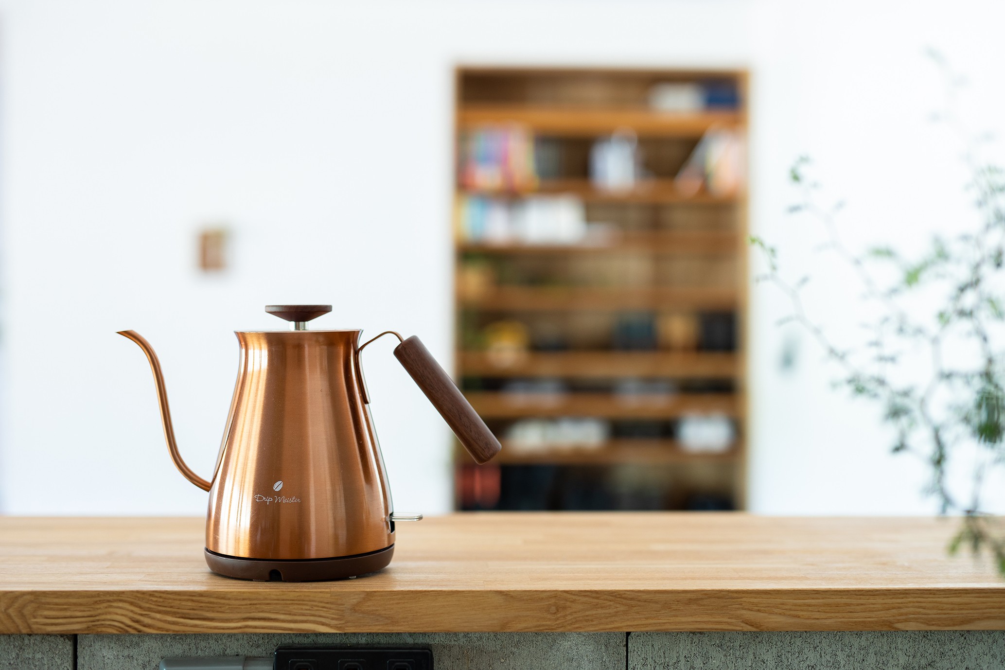 モデルルームを兼ねた家