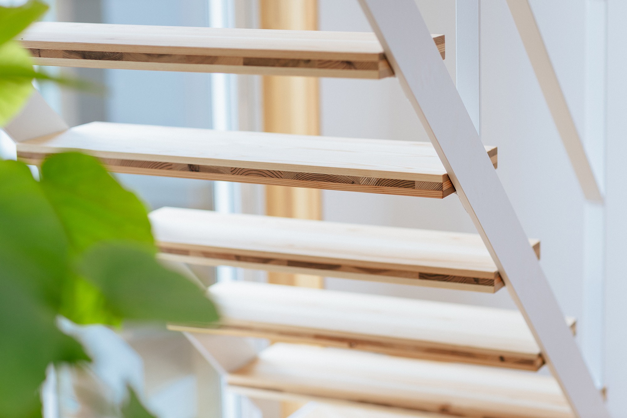 天龍焼杉の大屋根の家